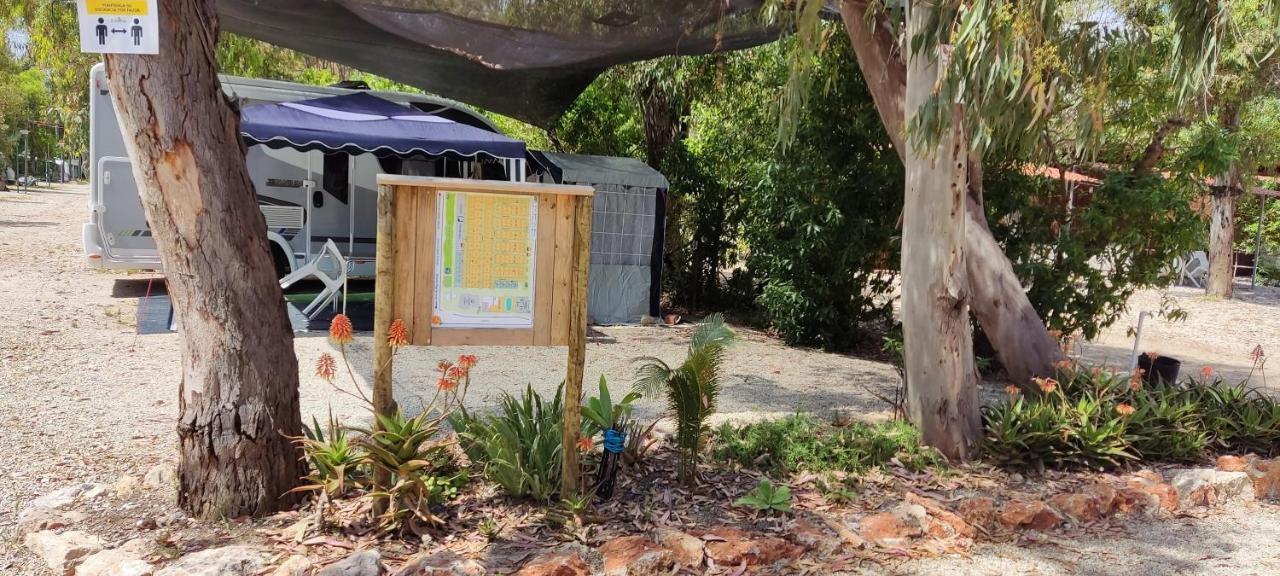 فندق Camping La Naranja غانديا المظهر الخارجي الصورة