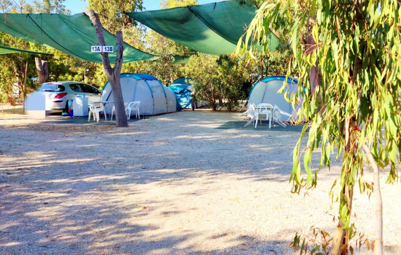 فندق Camping La Naranja غانديا المظهر الخارجي الصورة
