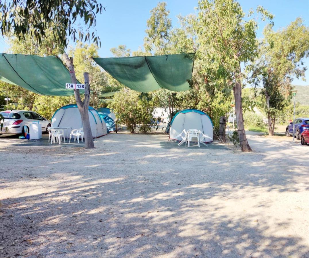 فندق Camping La Naranja غانديا المظهر الخارجي الصورة