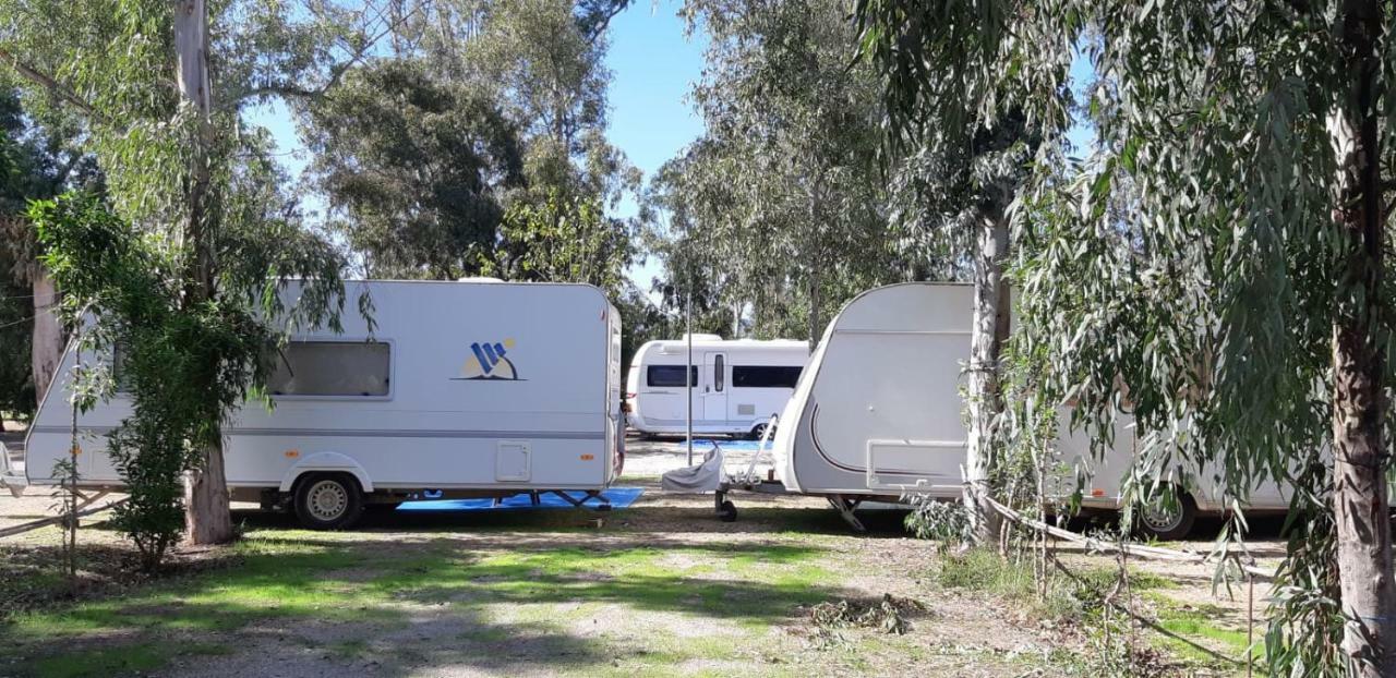 فندق Camping La Naranja غانديا المظهر الخارجي الصورة