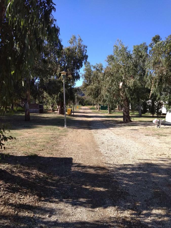 فندق Camping La Naranja غانديا المظهر الخارجي الصورة