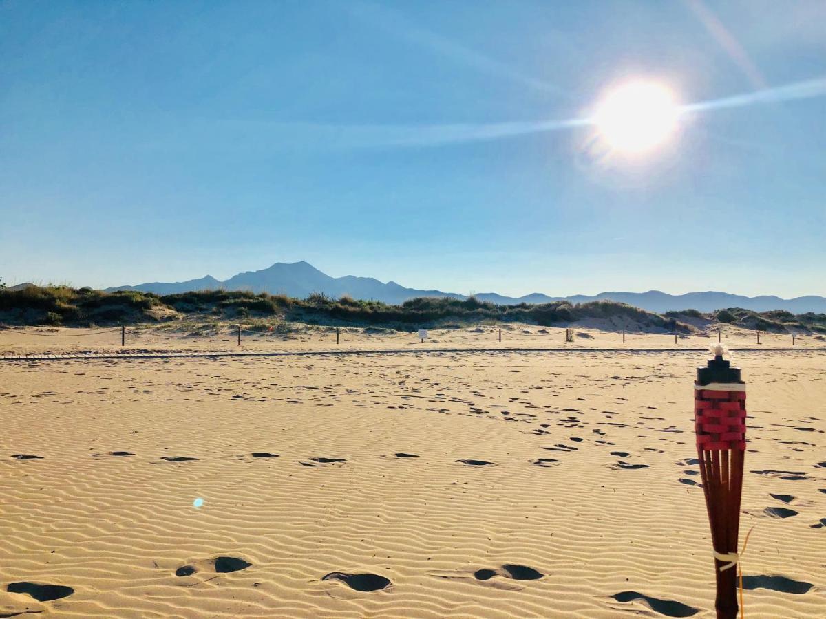 فندق Camping La Naranja غانديا المظهر الخارجي الصورة