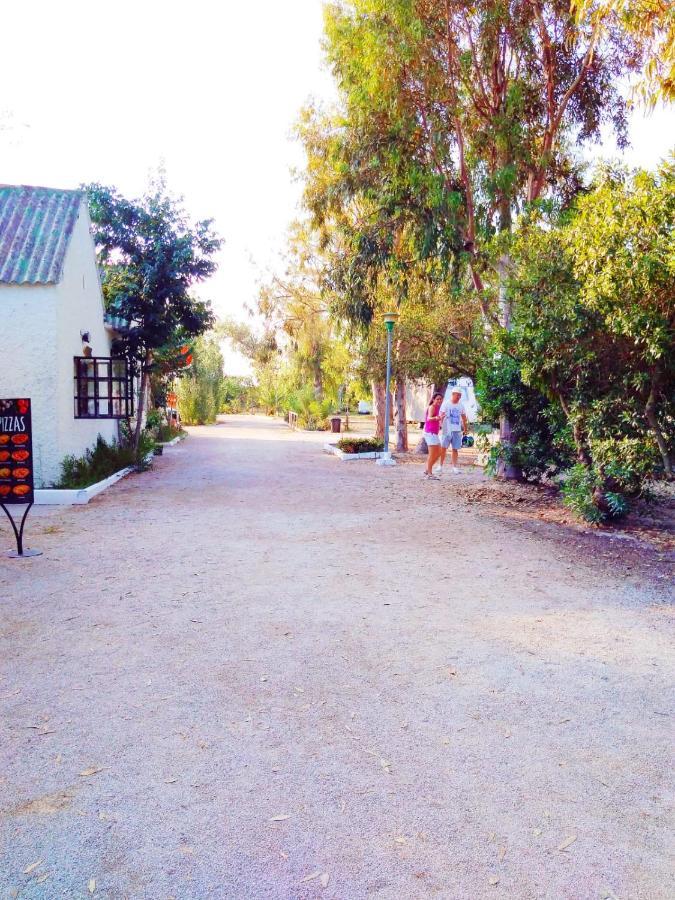 فندق Camping La Naranja غانديا المظهر الخارجي الصورة