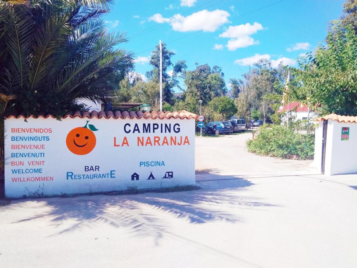 فندق Camping La Naranja غانديا المظهر الخارجي الصورة