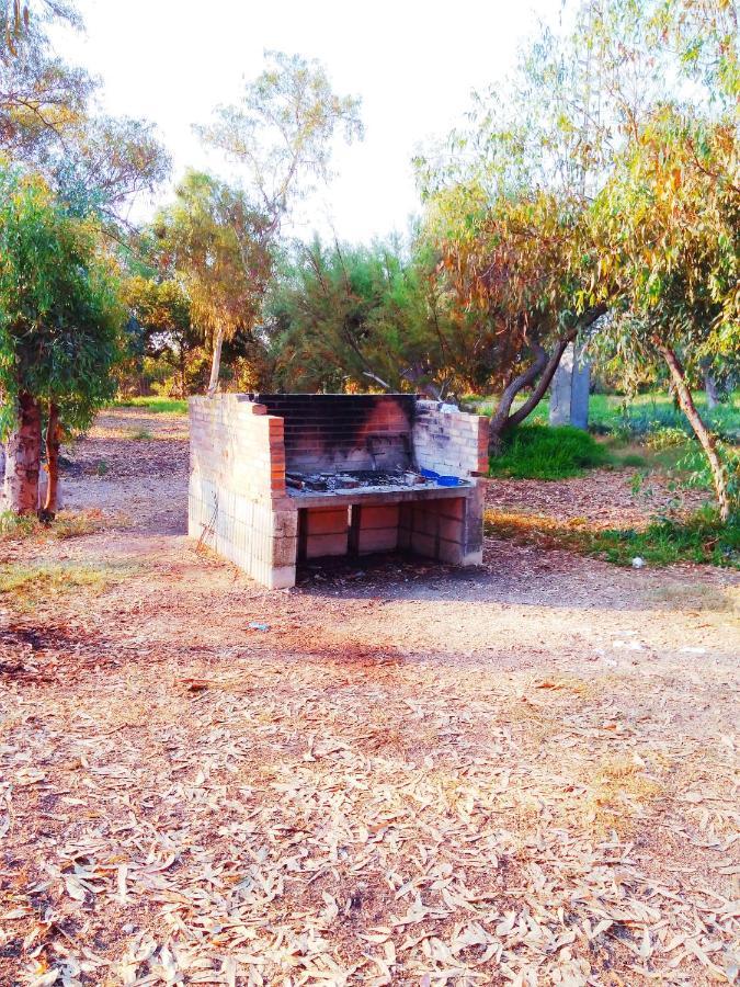 فندق Camping La Naranja غانديا المظهر الخارجي الصورة